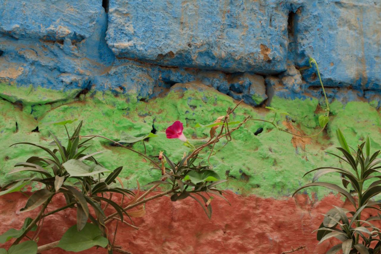 Riad Maryam Taroudant Exterior foto